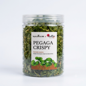 Pegaga Crispy